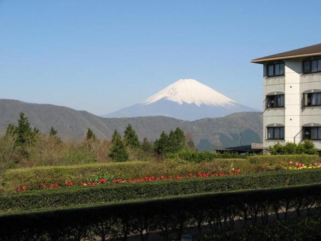 �W�q����