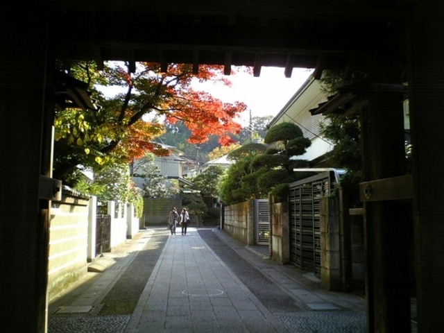 toshi����̏�������̓��e�ʐ^1