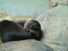 Ђ̐EW ANAggӂւ̓eʐ^1