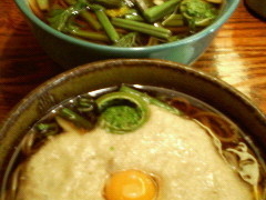 �䂩��񂳂�̎R���΂ւ̓��e�ʐ^1