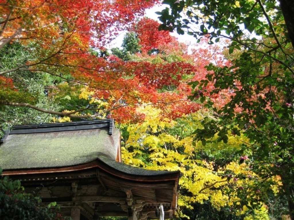 観心寺