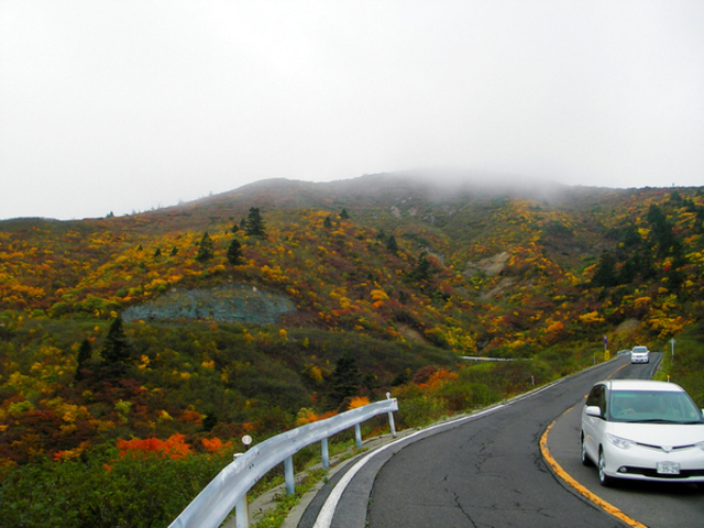 �����G�R�[���C���̍g�t