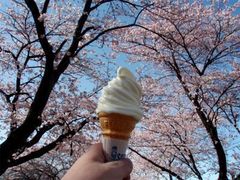 ��{���q��̎ʐ^1