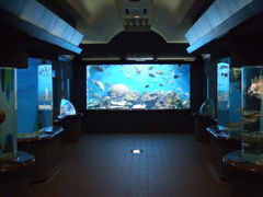 呑気なキンモクセイさんの渋川マリン水族館（玉野海洋博物館）の投稿写真1