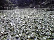 ݂񂮂݂₿搶̍qՂ̓eʐ^1