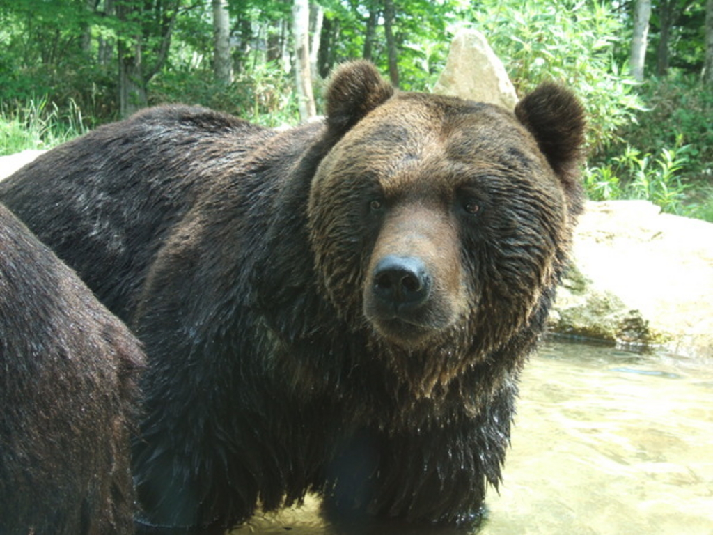 北海道の動物園 植物園ランキングtop10 じゃらんnet