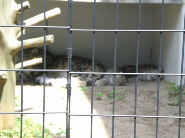 �~�R������