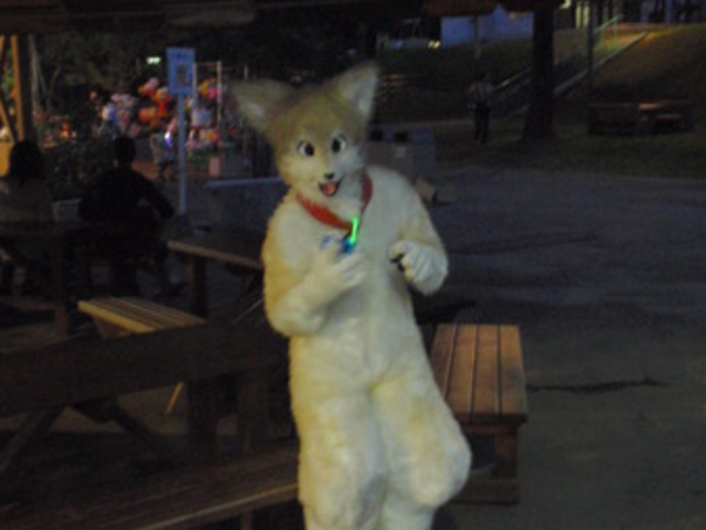 ���тЂ듮����