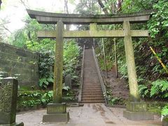 ���ł�����������ٓ̕V�������ւ̓��e�ʐ^1