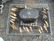 q^P̃pp̌䗧Lv̓eʐ^1