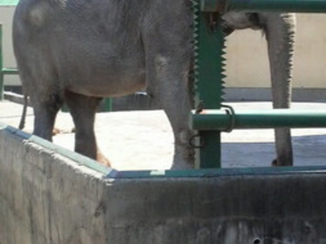 ���тЂ듮����