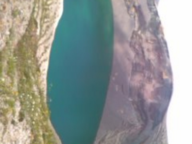 �����G�R�[���C��