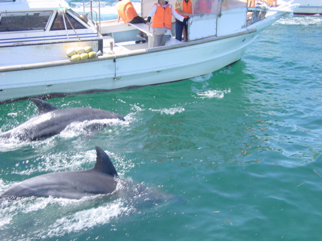 �C���J�E�H�b�`���O�i���̉w �V���s�C���J�Z���^�[�j