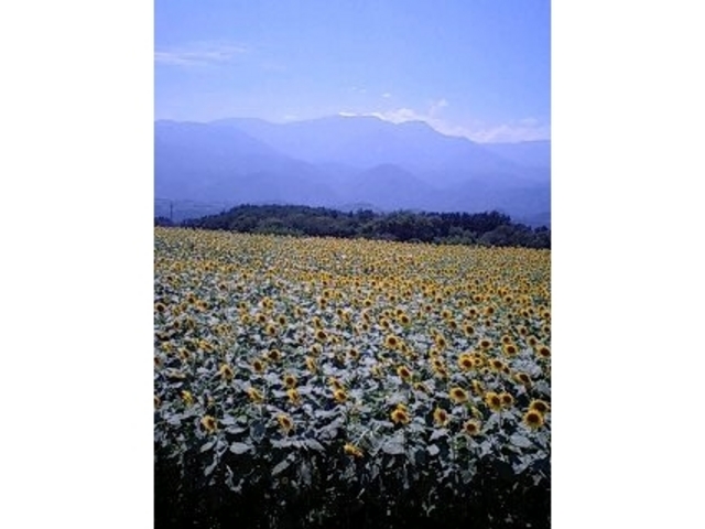 �n�C�W�̑��@�N������