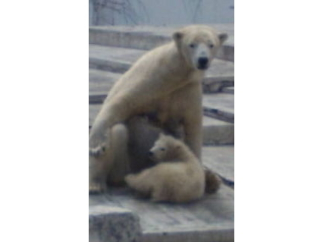 �~�R������