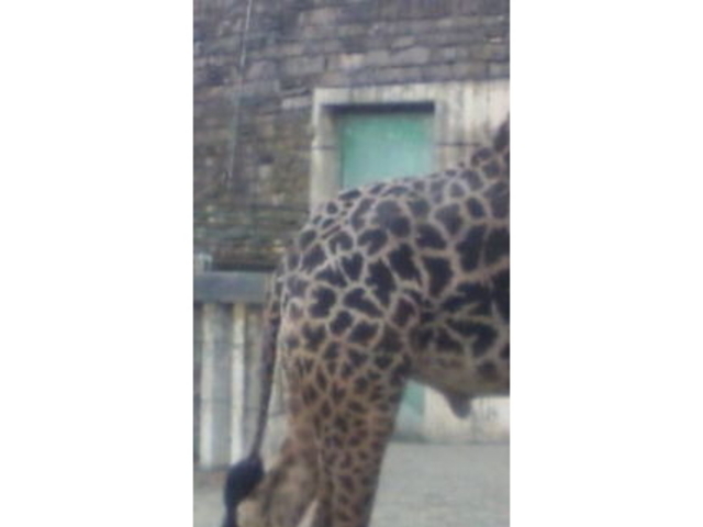 �~�R������