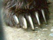 t@R̃Tz][g@xAE}Ee̓eʐ^1