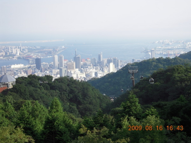 �_�˕z���n�[�u���^���[�v�E�F�C