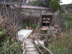 chakuȏ͉قւ̓eʐ^1