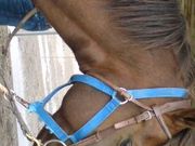 ܂䂱̋Hsӂꂠz[Xp[N̓eʐ^1