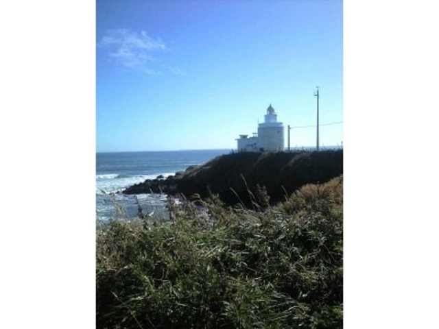 �[���z��