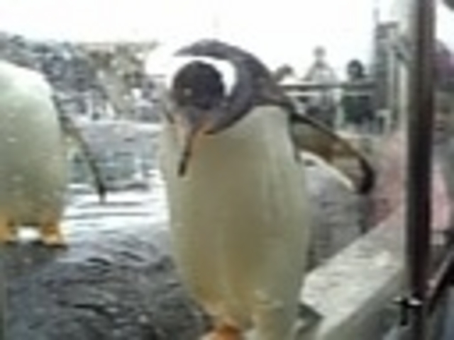 ���R������