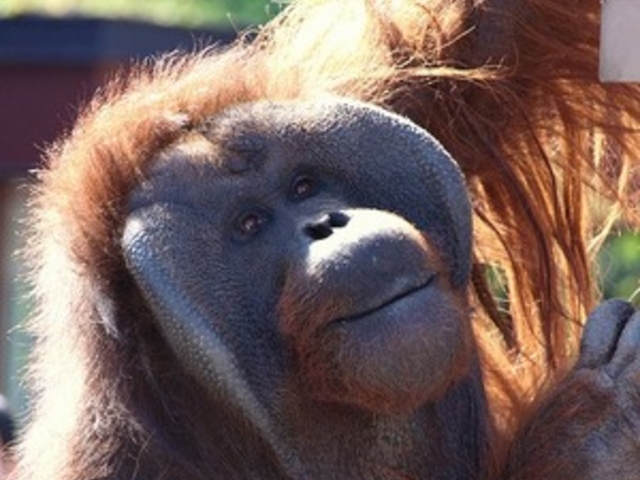 ���R������