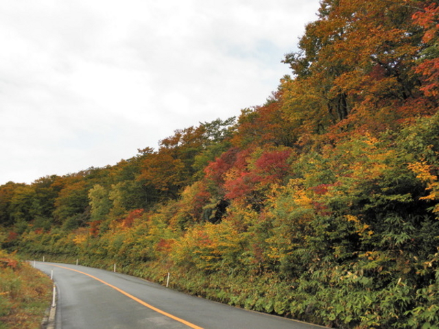 �����G�R�[���C���̍g�t