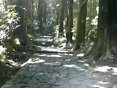 ��������̌F��Ó��@����ւ̓��e�ʐ^1