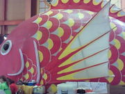 ł񂳂̑ՂЂ΂̓eʐ^1