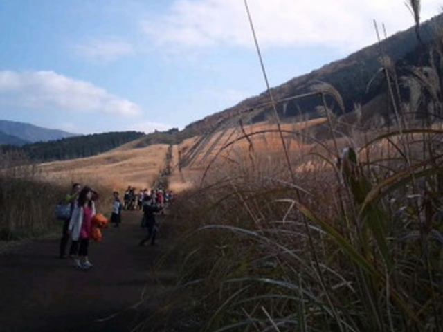 ��Ό�����