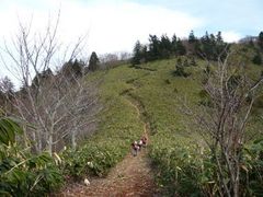 みーえーさんの位山のクチコミ - 位山のクチコミ - じゃらんnet