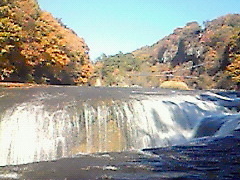 �����̑�̎ʐ^1