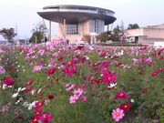 }̏aVR ԓXJCe][g̓eʐ^1