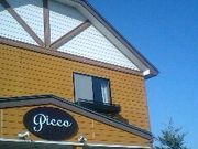 ��������̃W�F���e���A�@�s�b�R�̓��e�ʐ^1