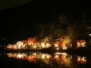 �ӂ����񂳂�̈��m���Ή��Z���^�[�E���a�̐X�̓��e�ʐ^1