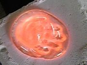 ̎iSUKIjOXX^WI̓eʐ^1