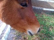 tBK̗^ߍnӂꂠq̓eʐ^1