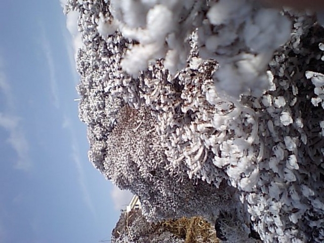 Ђ낱̖Xi啪Rzsj̓eʐ^1