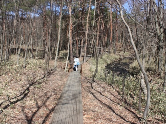 【那須花と体験の森】アクセス・営業時間・料金情報