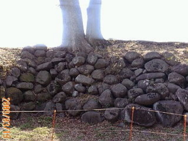 KAZU����̔���隬�̓��e�ʐ^1