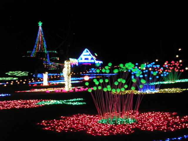 �����h�C�c��