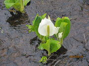 ȂȂ̂͂͂̎h~YoVEQn̓eʐ^1