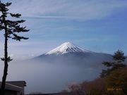 hokka̕xm͌Ή򋽂̓eʐ^1