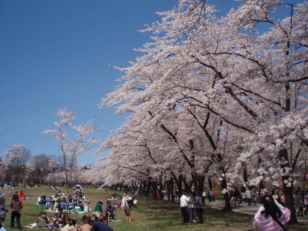 18 関東のお花見 桜名所おすすめ30選 きれいな桜を見に行こう 2 じゃらんnet