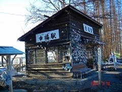 kiha58̈wEKwւ̓eʐ^1