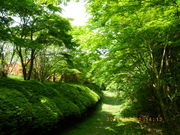 ̐X̂ӂꂠق̓eʐ^1