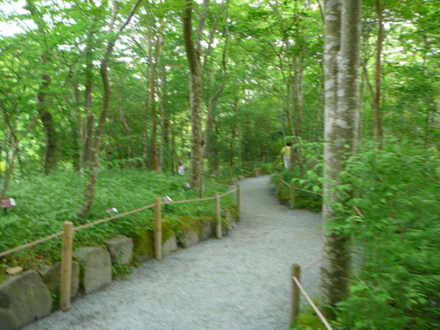 ���������ԉ�