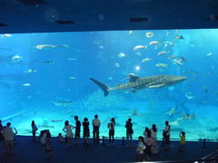 �������C�����ق̎ʐ^1