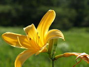 񂳂̏b̃jbRELXQ̓eʐ^1